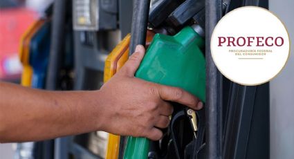 Precio de la gasolina: Estos son los estados con el combustible más caro en México HOY 29 de abril