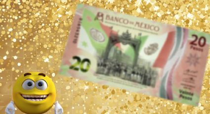 Billete de 20 pesos vale 700 mil por su número capicúa ligado a la buena fortuna