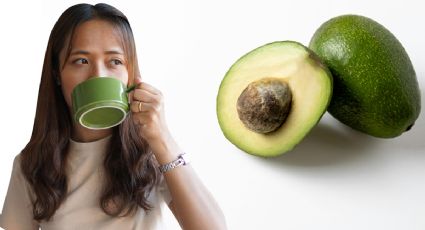 ¿Para qué sirve tomar te de semilla de aguacate todos los días?