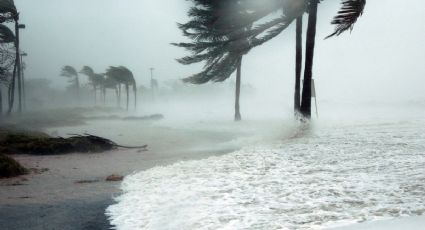 Por su DEVASTACIÓN estos son los nombres de huracanes que se han retirado