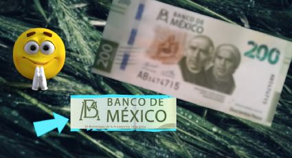 ¿Cómo es el NUEVO billete de 200 pesos lanzado por el Banco de México y en qué fecha entra en circulación?