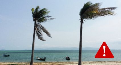 ¿Cuál es la diferencia entre una alerta y un aviso de huracán?