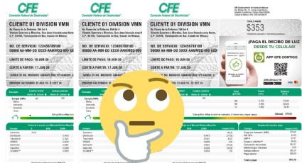 CFE: 3 opciones diferentes para consultar tu recibo de luz si no llegó a tu casa