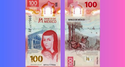 El billete de 100 pesos cuyo número de serie eleva su valor hasta 24 millones