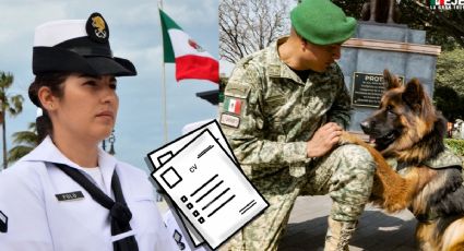 Secretaría de Marina y Guardia Nacional lanzan empleos con sueldos de hasta 24,000 pesos al mes