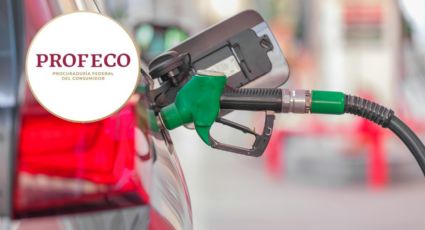 Precio de la gasolina: Estos son los estados con el combustible más caro en México HOY 10 de junio