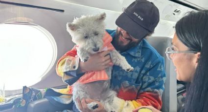 ¿Una aerolínea 100% para mascotas? Conoce BARK Air