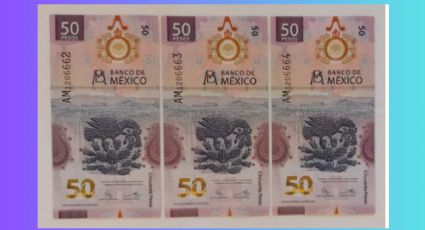 Venden en 250 mil pesos estos tres billetes de ajolote de la serie 'AM' por esta razón