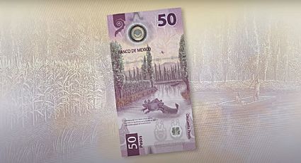 ¿Qué bancos te compran el billete del AJOLOTE de 50 pesos?