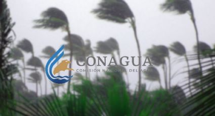 Ciclón Tropical Alberto: Conagua detalla a qué hora impactará y en qué estados ocurrirá