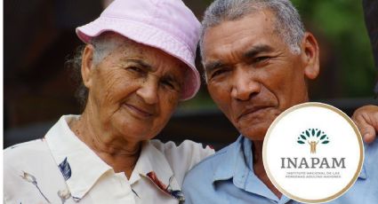 Esto es lo que debes hacer si no respetan los descuentos de la tarjeta INAPAM para adultos mayores	