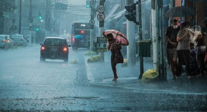 Clima en México: 21 estados presentarán lluvias para este 2 de junio