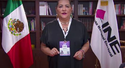 Elecciones 2024 | “México demostró la fortaleza de su democracia”: Guadalupe Taddei