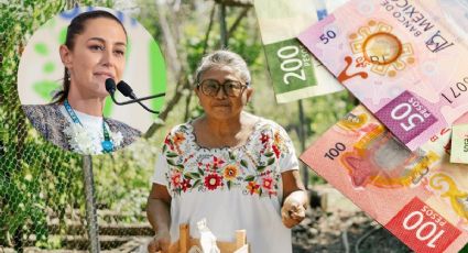 ¿Por edad o zona? Estas son las mujeres que primero van a recibir el apoyo de 60 a 64