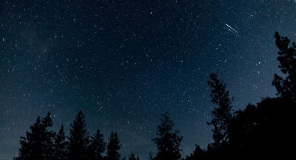 Ya comenzó la lluvia de meteoritos perseidas, éste será el mejor día para verla y cómo lo puedes hacer