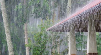 Onda tropical 11 provocará más lluvias intensas hoy viernes 19 de julio