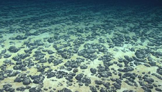 El descubrimiento de "oxígeno negro" en aguas profundas podría replantear el origen de la vida