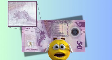 Por errores y manchas, venden billete de 50 pesos del ajolote en 2 millones 600 mil