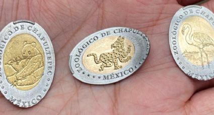 ¿Dónde conseguir las monedas conmemorativas del Zoológico de Chapultepec?