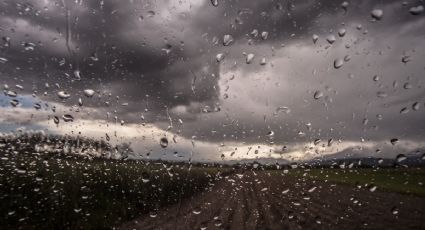 Estos son los estados que se verán afectados con lluvias por la Onda Tropical 14