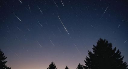 ¿Cómo ver la lluvia de meteoros de las Perseidas en 2024?