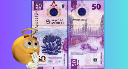 ¿En cuánto es lo máximo que puedes vender tu billete del ajolote de 50 pesos, Serie AA en internet?