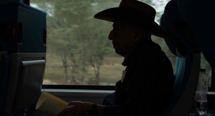 Respira profundo antes de saber cuánto cuesta el viaje de Palenque a Mérida en el Tren Maya