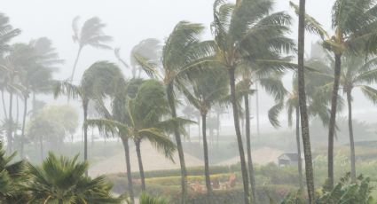 3 posibles huracanes en el Pacífico y una depresión tropical amenazan esta semana a territorio mexicano