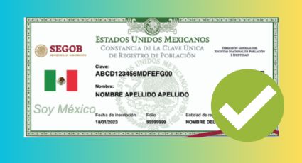 ¿Qué hacer si tu CURP no está certificada? Aquí te explicamos paso paso