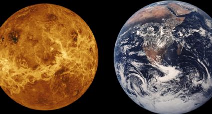 ¿Vida en Venus? Nuevos descubrimientos desafían lo que sabemos sobre el planeta