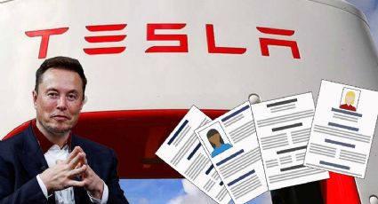 Elon Musk: Tesla lanza vacante de empleo desde casa con sueldo de 433 mil  pesos al mes