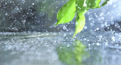 Tormenta tropical Daniel: Esto sabemos del cuarto ciclón de 2024 en el océano Pacífico