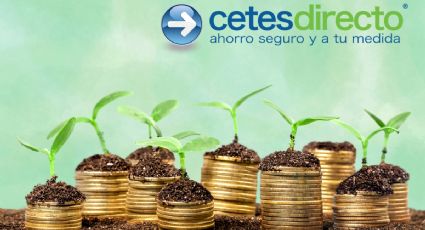 Cetes a 28 días: Esto es lo que puedes ganar si inviertes 7,000 pesos después del “lunes negro”