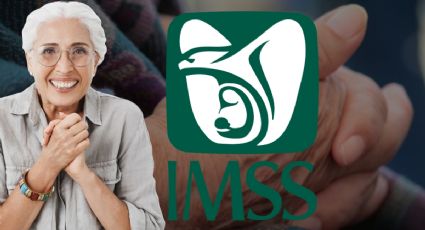 Pensión IMSS 2024: ¿Qué jubilados podrán acceder PAGO doble en septiembre?