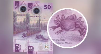 El billete de 50 pesos del ajolote que se vende casi en 3 millones por este motivo