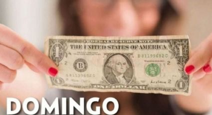 Precio del dólar hoy domingo 22 de septiembre 2024: Así está el tipo de cambio en México