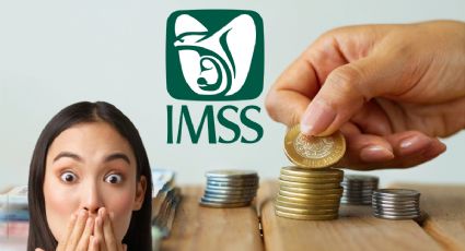 ¿Qué hacer si estoy registrado con el mínimo salario ante el IMSS y gano más?