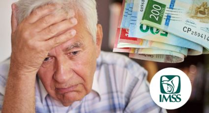 Adultos mayores: Estos serán los pensionados que no recibirán aguinaldo en este 2024