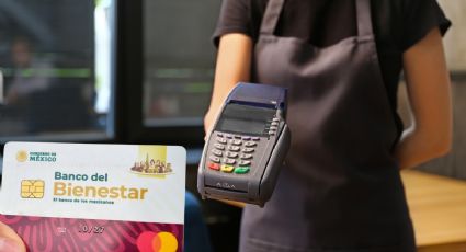 Adultos mayores: Lista de todos los pagos de servicios y lugares donde puedes usar tu tarjeta Bienestar