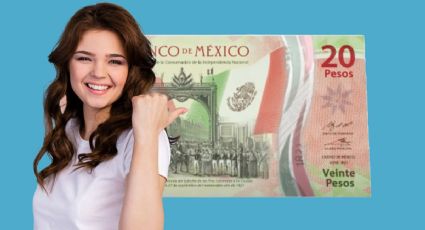 Cuál es el precio real del billete de 20 pesos que se vende en 5 millones por número de serie