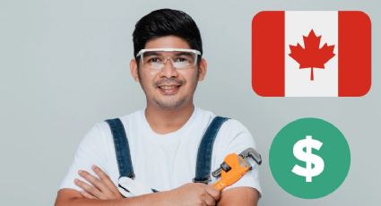 Canadá lanza empleo para mexicanos sin estudios con sueldo de 40,000 pesos al mes | REQUISITOS