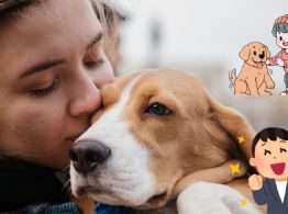 Científicos estadounidenses buscan la forma de prolongar la vida de los perritos