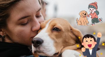 Científicos estadounidenses buscan la forma de prolongar la vida de los perritos
