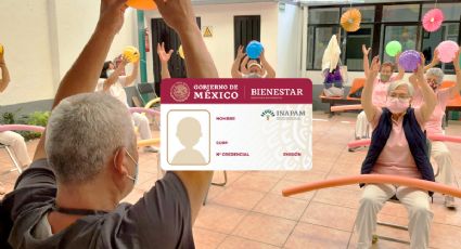 Este es el beneficio poco aprovechado que el INAPAM da a adultos mayores que tienen la credencial