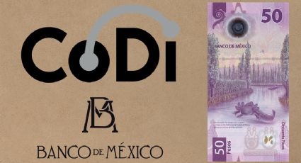 Por esta razón los billetes de 50 pesos conmemorativos podrían desaparecer en México