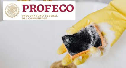 Es una de las fibras de cocina más económicas y también de las que más duran según Profeco