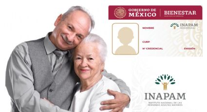 Credencial INAPAM: ¿A partir de qué edad la puedes tramitar en 2025?