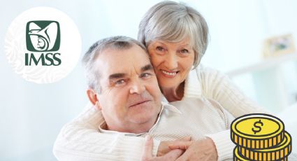 Así funciona el nuevo mecanismo de pago para incorporarse a la Modalidad 40 del IMSS