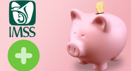 IMSS: ¿Cuál será la pensión mínima garantizada a partir del 1 de enero de 2026?