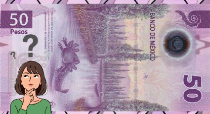¿Los billetes de 50 pesos del ajolote saldrán de circulación? Esto es lo que está pasando
